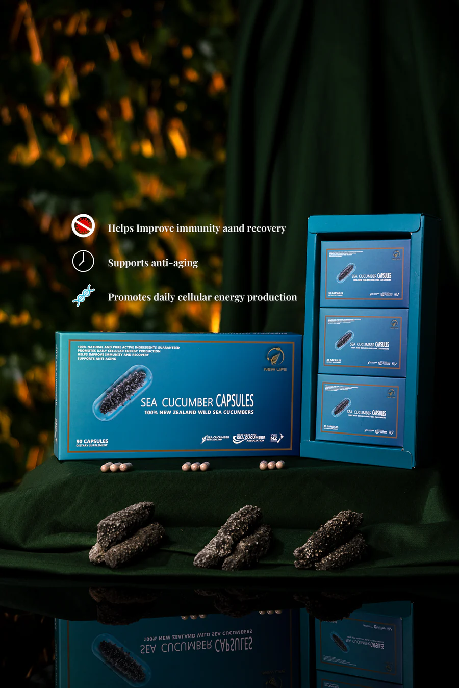 Sea Cucumber Capsules (Immunity and Recovery)