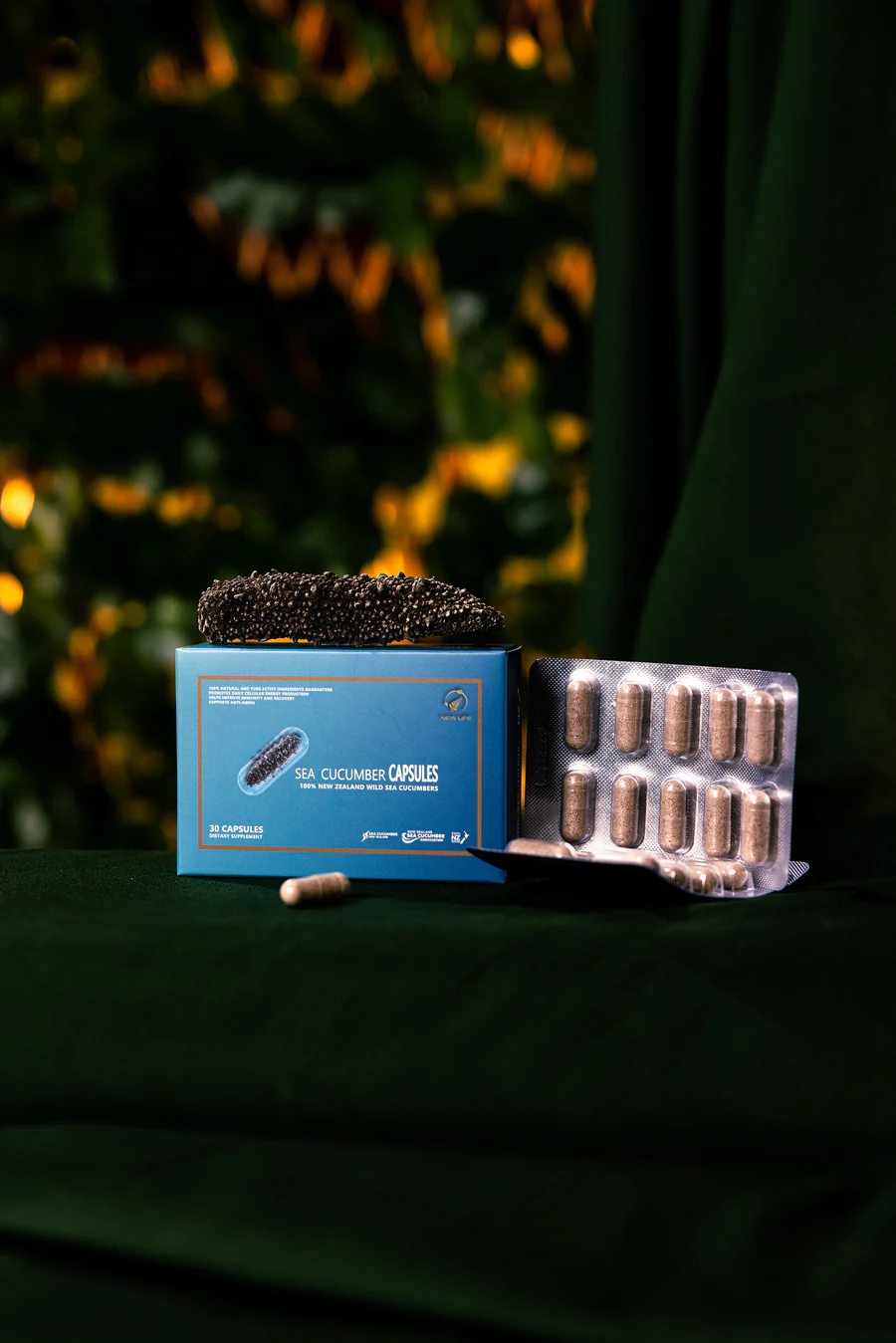 Sea Cucumber Capsules (Immunity and Recovery) - Image 2